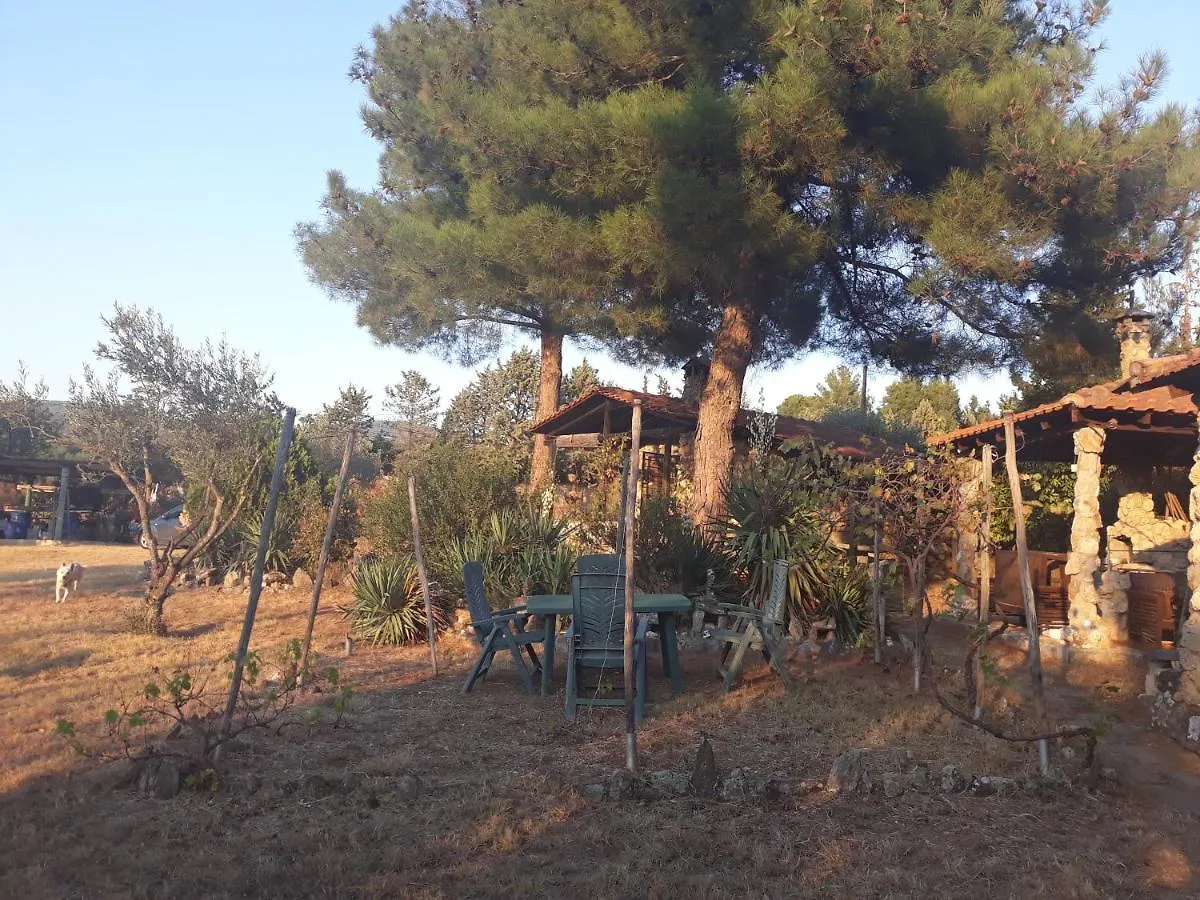 بيت للعطل سالونيك Cottage House In 2,5 Acres Near Suburban Forest. اليونان